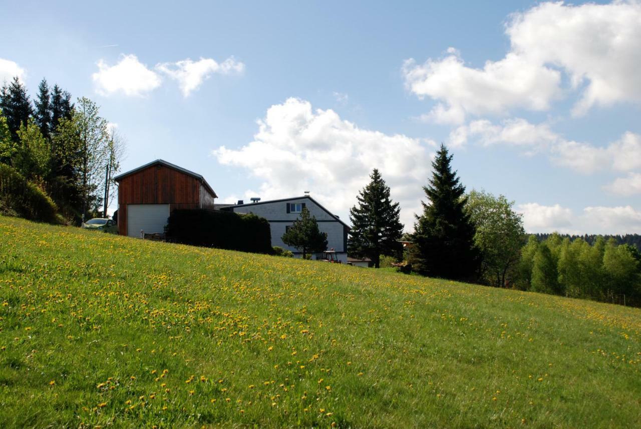 Ferienwohnung Koernerberg Klingenthal Ngoại thất bức ảnh